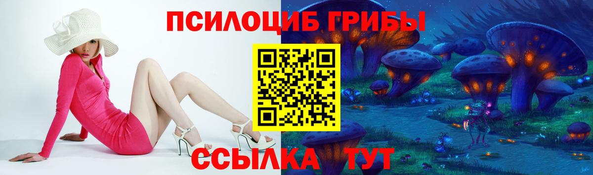 купить   Вход с VPN  Сланцы  Псилоцибиновые грибы мицелий 